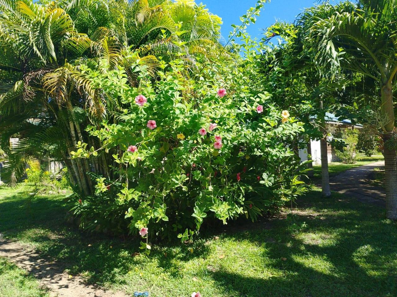Chez Michellin Pensions Residence Insel Insel La Digue Exterior foto